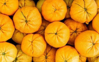 Ugli Orange Negotiation