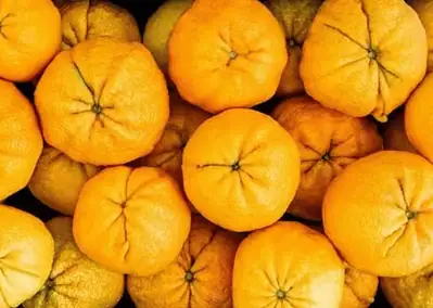 Ugli Orange Negotiation